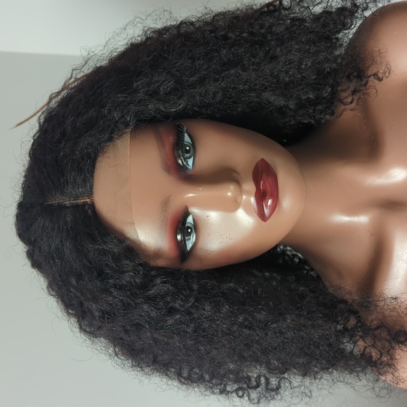 Burmese curling HH - Picture 4 of 5